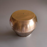 Copper Planter Pot - Home Garden Pot with Drainage Hole/Saucer Plate
