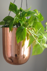 Hanging Copper Planter - Metallic plant holder with hanging chains |