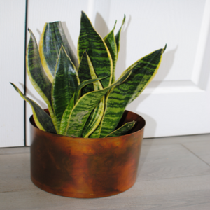 Burnt Look Metal Planter With Stand - The Chalk Home
